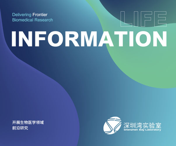 上海VI設(shè)計(jì)公司與世界500強(qiáng)企業(yè)的合作之道