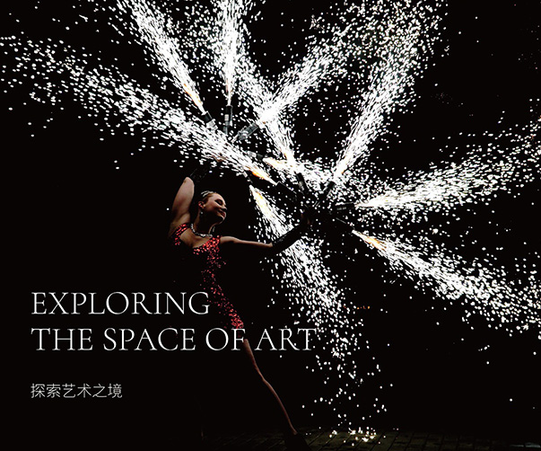 蜂花粉片包裝設計_保健品包裝設計